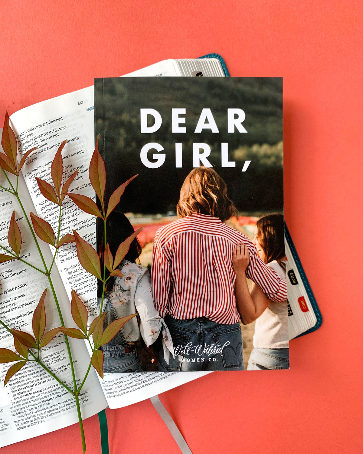 Dear Girl Devotional: 31-Day Devotional for Girls