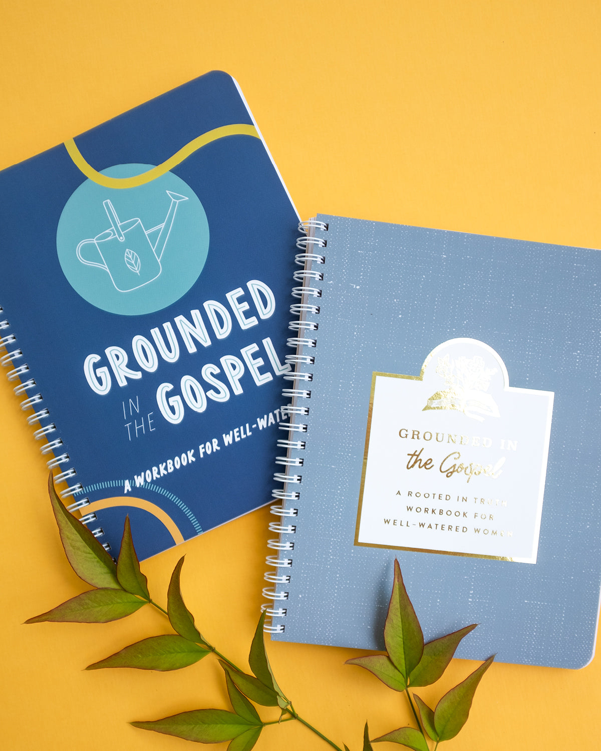 Grounded in the Gospel Workbook
