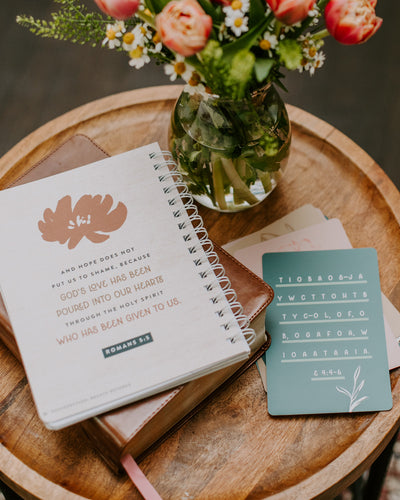 Life in the Spirit Bundle