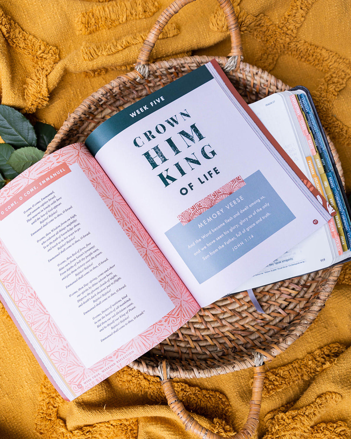 Crown Him King: A Bible Study on the Kingdom of God