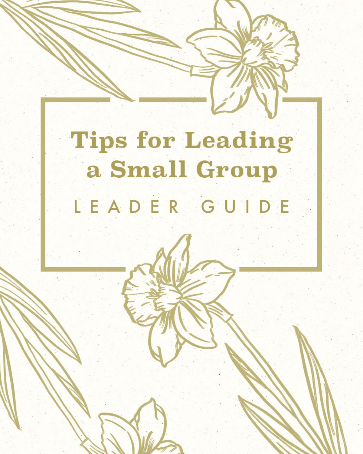 Tips for Leading a Small Group Bible Study [FREE PDF]