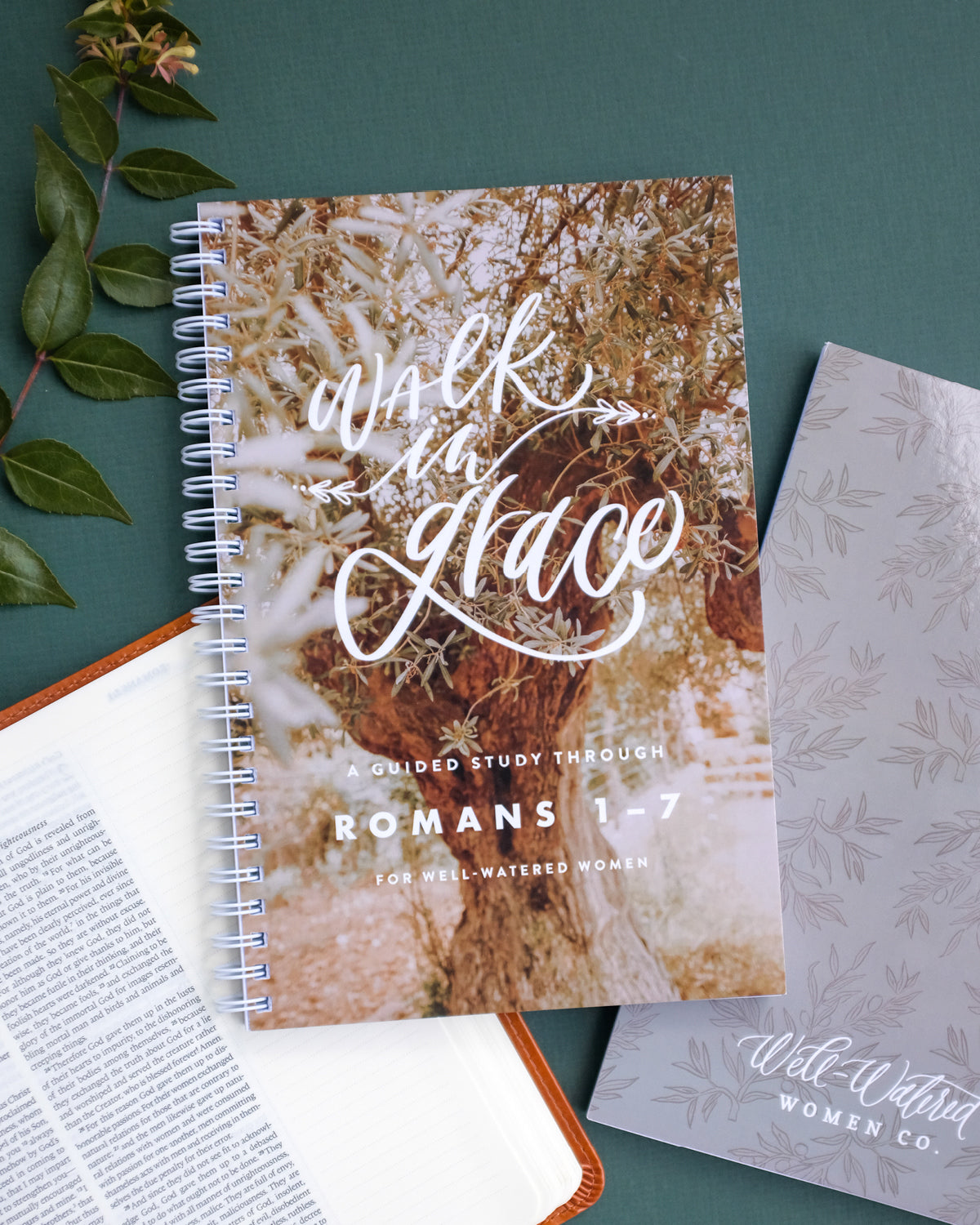 Walk in Grace Journal Collection